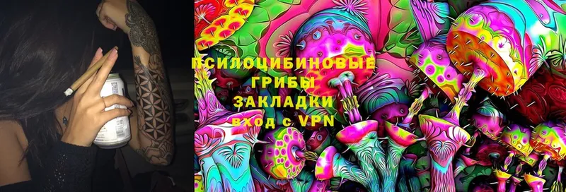 Псилоцибиновые грибы MAGIC MUSHROOMS  shop как зайти  Богданович  hydra как зайти 